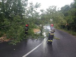 Interventii in urma fenomenelor meteo periculoase | imaginea 1