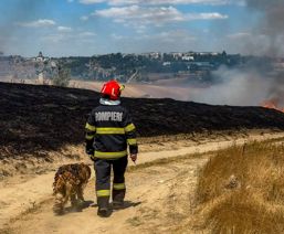 La pas cu salvatorul lui | imaginea 1