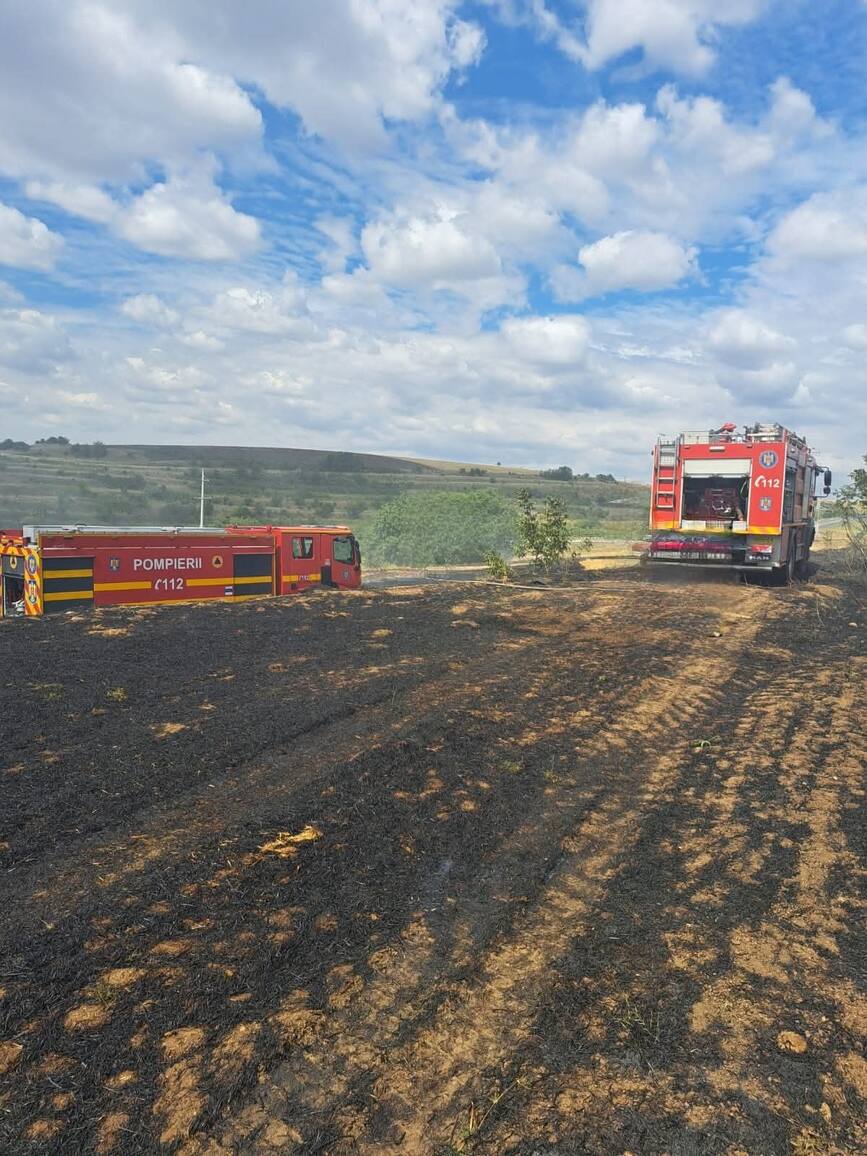 Locuinte salvate in urma incendiilor de vegetatie | imaginea 1