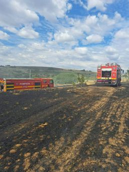 Locuinte salvate in urma incendiilor de vegetatie | imaginea 1