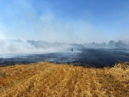 Locuinte si solarii salvate in urma unui incendiu | imaginea 1