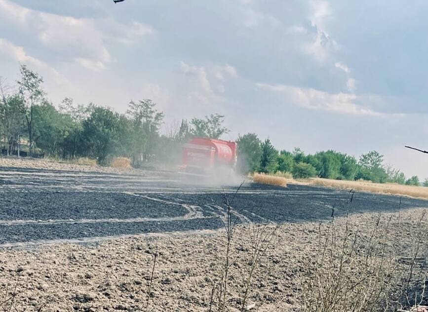 Miriste de grau si vegetatie uscata au ars in judetul Teleorman | imaginea 1