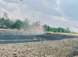 Miriste de grau si vegetatie uscata au ars in judetul Teleorman | imaginea 1