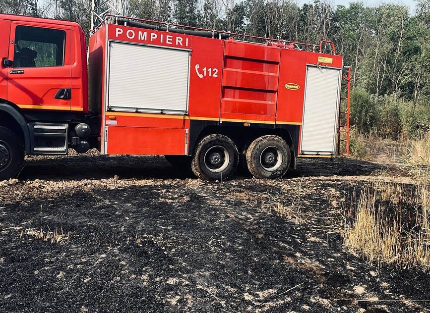 Miriste de grau si vegetatie uscata au ars in judetul Teleorman | imaginea 2