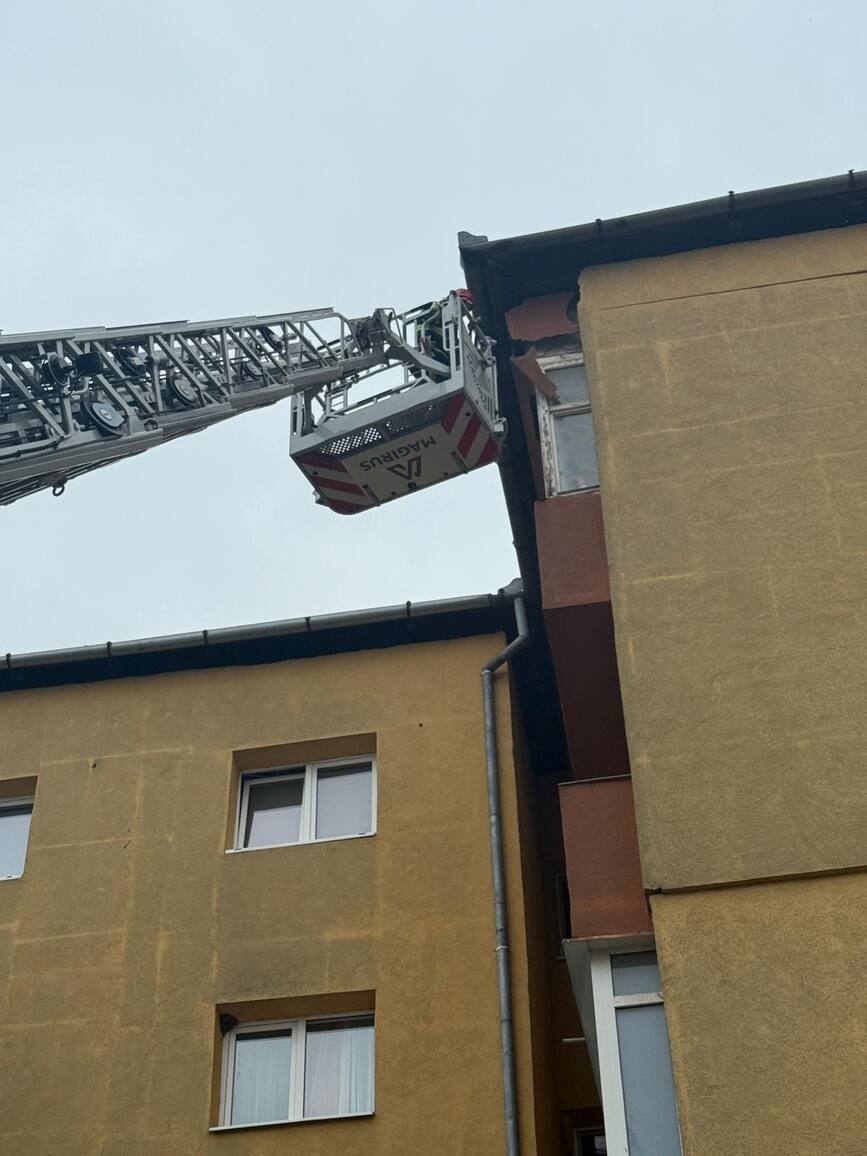 Misiune speciala la Alba Iulia | imaginea 2