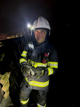 Moment emotionant   Porumbel salvat din incendiu | imaginea 1