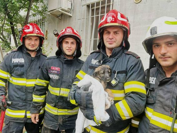 Saptamana plina de interventii pentru pompierii timiseni | imaginea 1