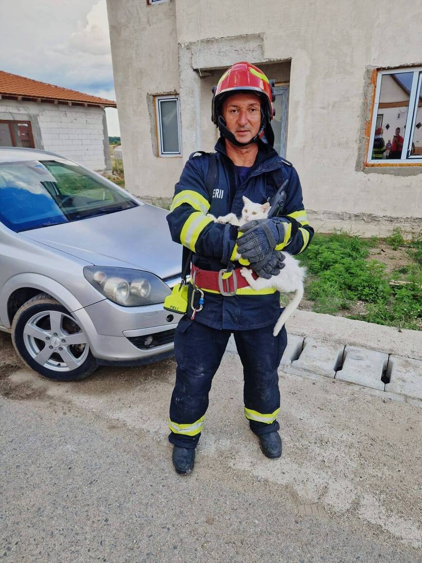 Saptamana plina de interventii pentru pompierii timiseni | imaginea 2