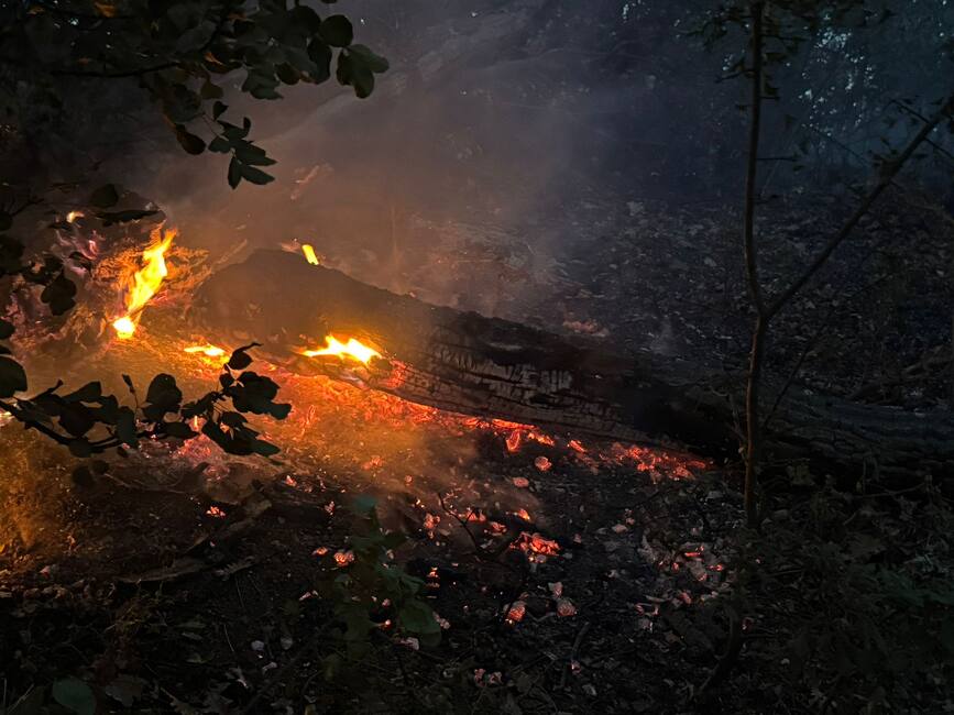 Zi de foc in judetul Dolj | imaginea 1