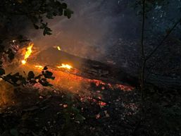 Zi de foc in judetul Dolj | imaginea 1