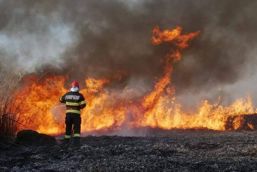 Accidente rutiere  incendii si salvari de animale | imaginea 1