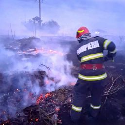 Cinci incendii  gestionate pe parcursul unei zile | imaginea 1