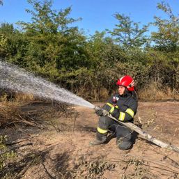 Gara  in pericol din cauza unui incendiu de vegetatie | imaginea 1