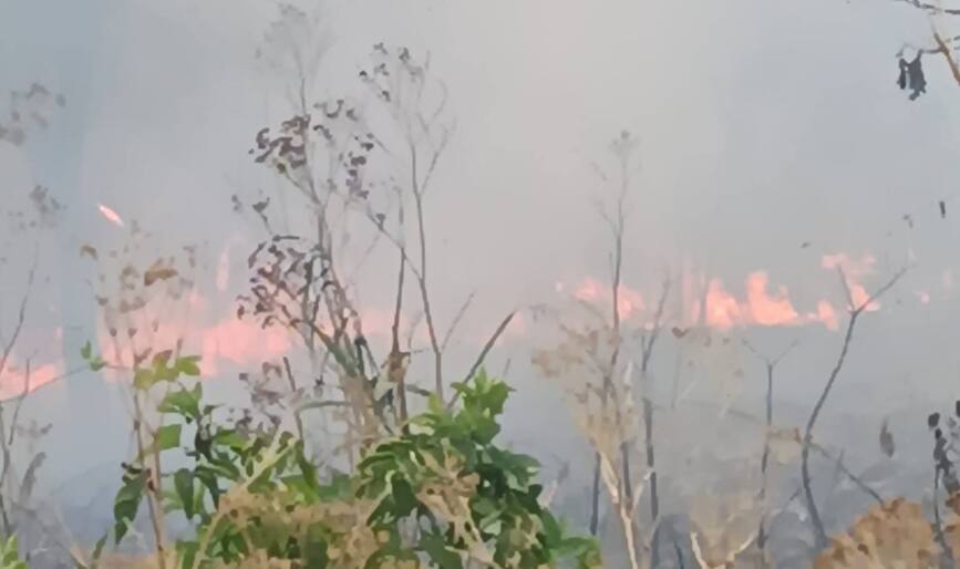 Incendii de vegetatie uscata   Pericol pentru proprietati | imaginea 1