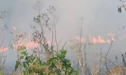 Incendii de vegetatie uscata   Pericol pentru proprietati | imaginea 1