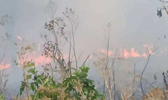Incendii de vegetatie uscata Pericol pentru proprietati | imaginea 1