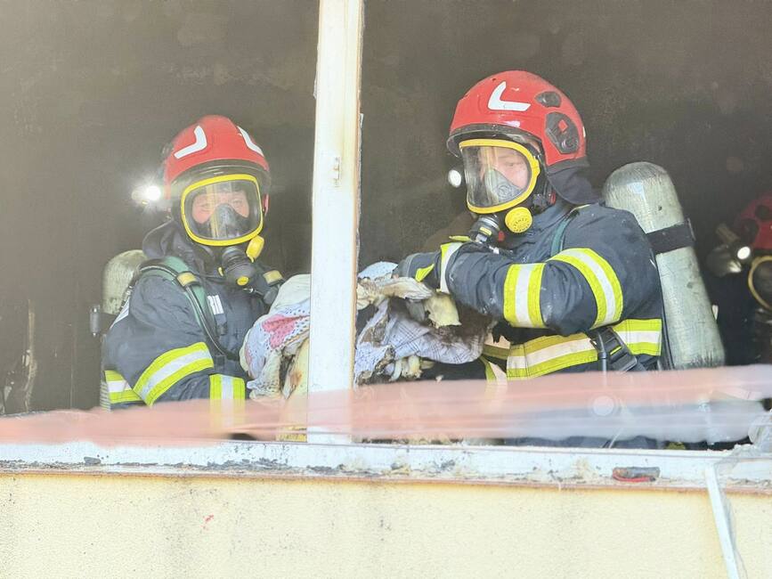 Incendiu intr un apartament din Botosani | imaginea 1