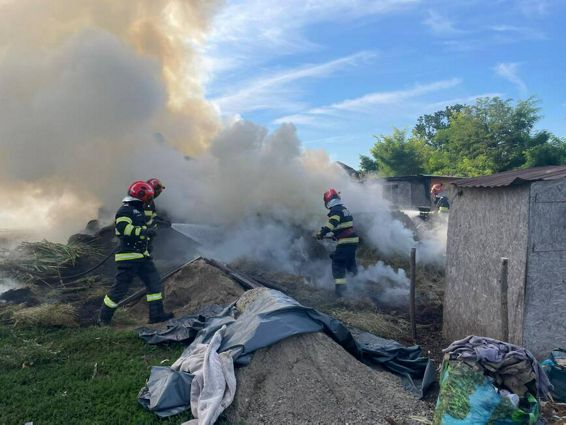 Incendiu la un depozit de furaje | imaginea 1