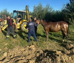 Interventie pentru salvarea unui cal cazut intr o fantana | imaginea 1