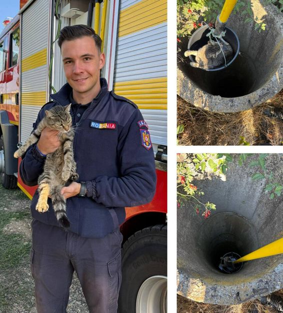 Interventie prompta pentru salvarea unei pisici | imaginea 1