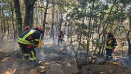 Pompierii romani sprijina Spania in lupta cu incendiile | imaginea 1