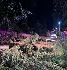 Tragedie la un concurs de alergare montana | imaginea 1