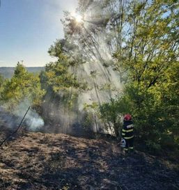 Incendii  protectia comunitatii si alte situatii de urgenta | imaginea 1