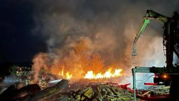 Incendiu de amploare la un depozit de busteni | imaginea 1