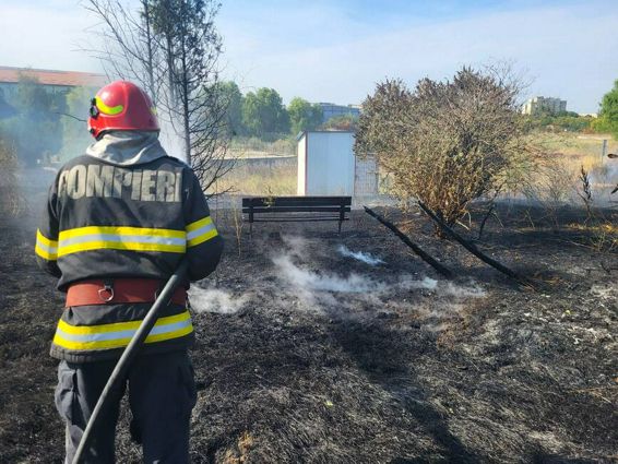 Incendiu de vegetatie intr un parc din Giurgiu | imaginea 1