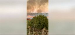 Incendiu violent de vegetatie uscata | imaginea 1