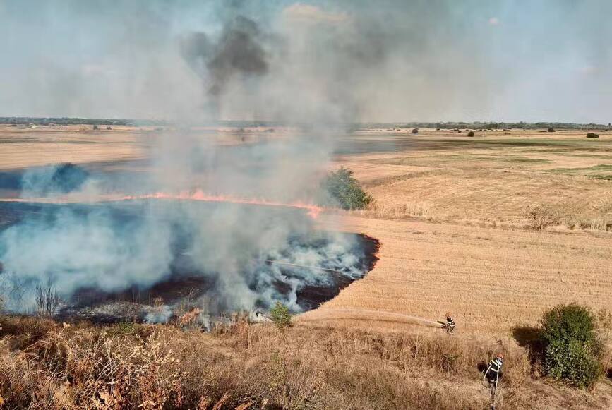 Numeroase incendii de vegetatie in judetul Giurgiu | imaginea 1