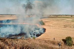 Numeroase incendii de vegetatie in judetul Giurgiu | imaginea 1