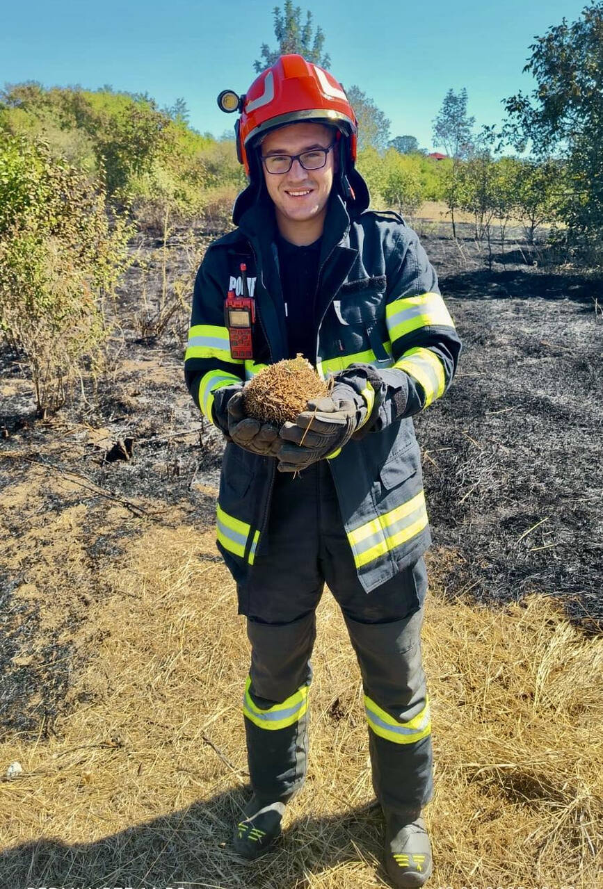 Salvat din incendiile de vegetatie | imaginea 1