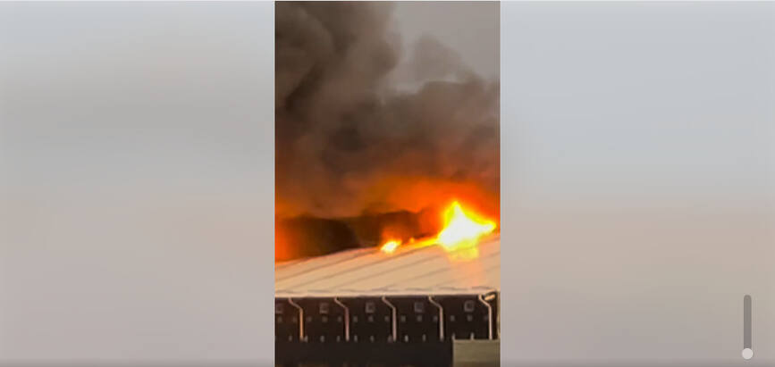 Incendiu la o ferma de porci   Zeci de animale au fost salvate | imaginea 1