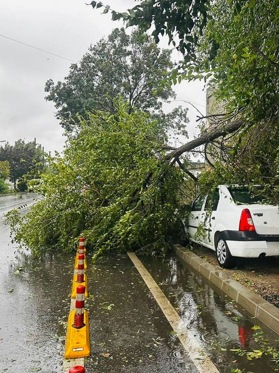 Interventii in urma fenomenelor meteo periculoase | imaginea 1