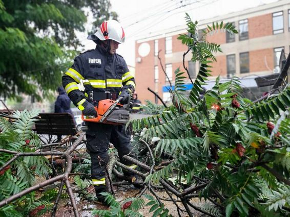Interventii in urma ploilor abundente din Giurgiu | imaginea 1