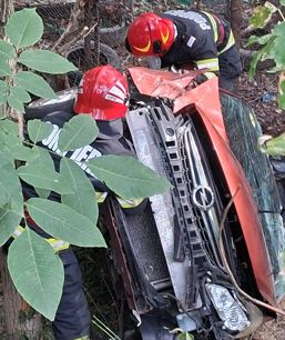 Misiunile pompierilor valceni | imaginea 1