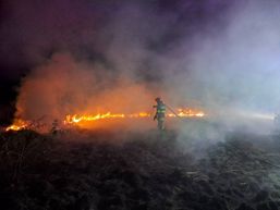 Opriti arderile necontrolate | imaginea 1