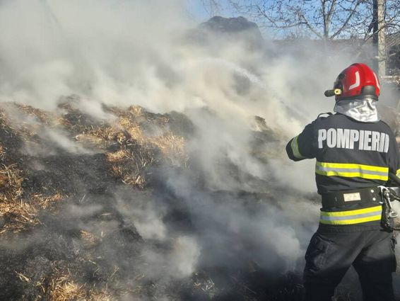 35 de tone de furaje au ars intr o gospodarie | imaginea 1