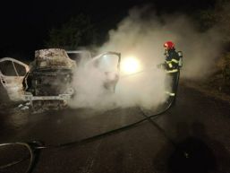 Autoutilitara in flacari | imaginea 1