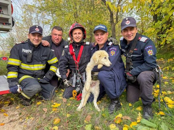 Catelusa salvata dintr un put adanc de 15 metri | imaginea 1