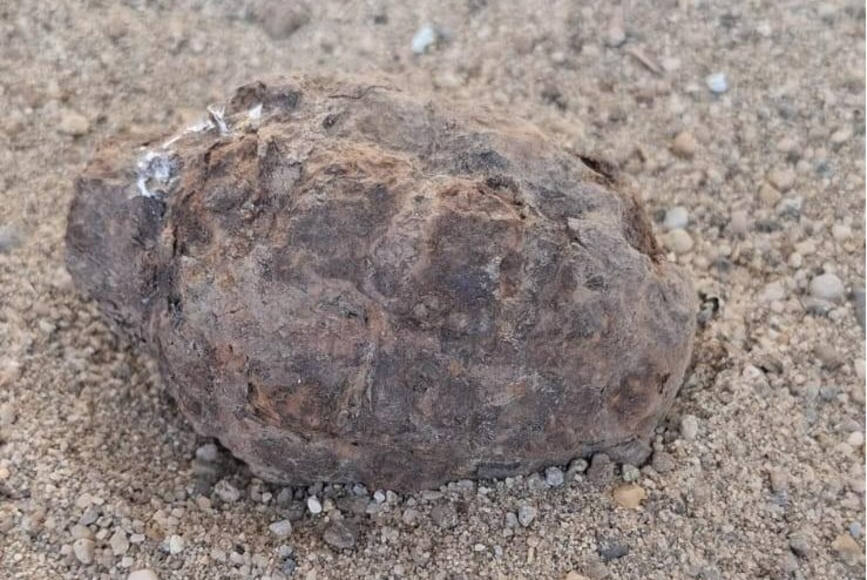 Grenada descoperita in curtea unei case | imaginea 1