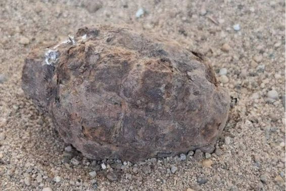 Grenada descoperita in curtea unei case | imaginea 1