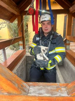 Interventie pentru salvarea unui pui de pisica | imaginea 1