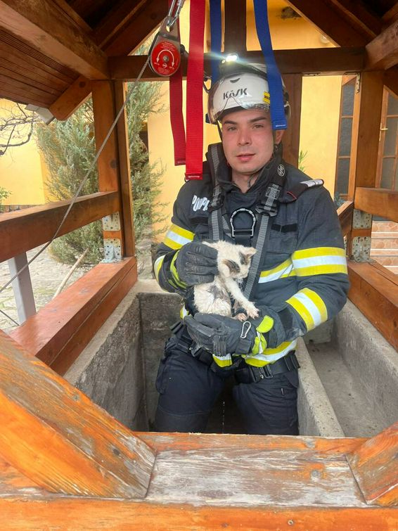 Interventie pentru salvarea unui pui de pisica | imaginea 1