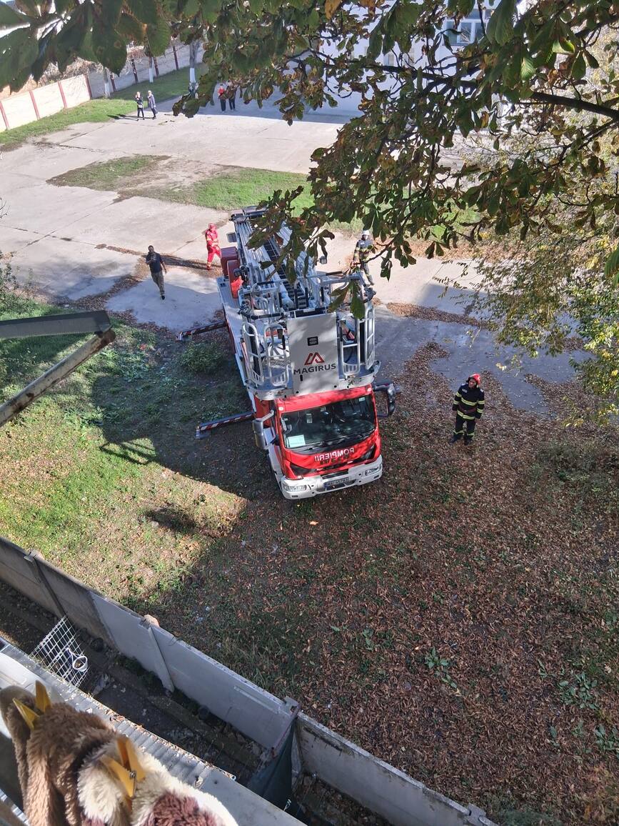 Interventie rapida a pompierilor calaraseni | imaginea 1