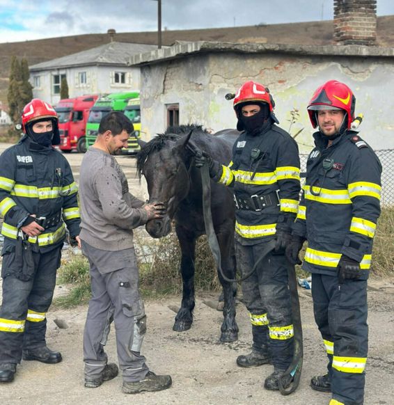 Misiuni emotionante de salvare | imaginea 1