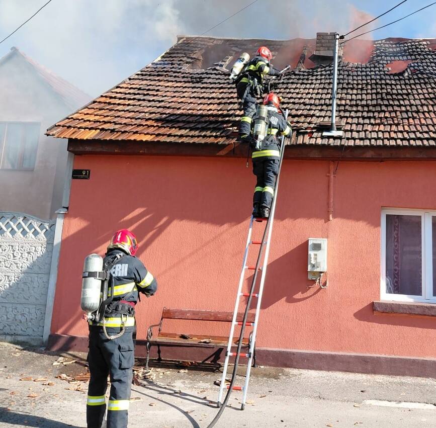 Misiuni si interventii | imaginea 1