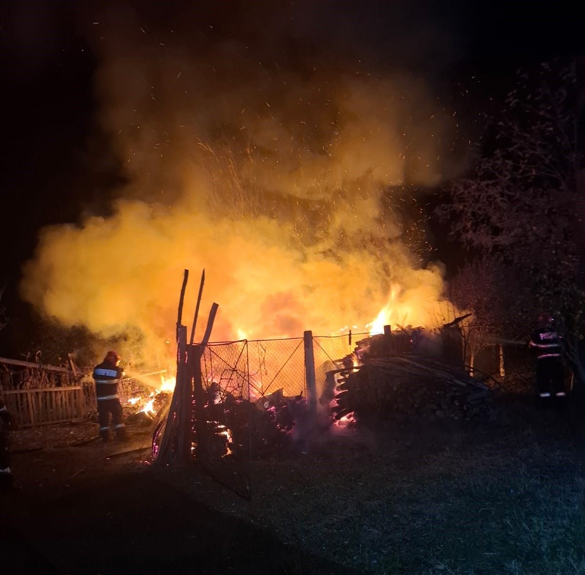 Misiunile pompierilor valceni | imaginea 1