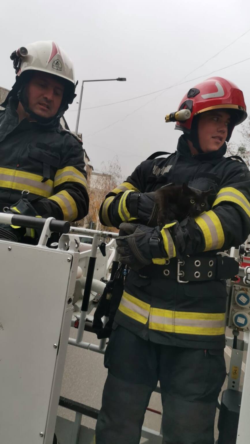 Salvare de la inaltime | imaginea 1